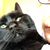 Ellen McMahan's profile image