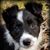 DB Brisbin's profile image