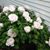 Donna Wolny's profile image