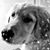 Becki Vosburgh's profile image