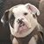 Brian Brennan's profile image
