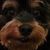 Pamela Berry-Holcomb's profile image