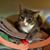 Gerri Curless's profile image