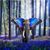 Benita Robinson Osbey's profile image