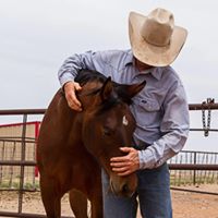 Eric Stevenson's profile image