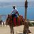Antonio Marcelino's profile image