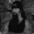 Robert L Larson's profile image