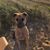 Colleen Brown Osborn's profile image