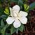 Kathy Eichner's profile image