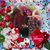 Marisela Vallejano's profile image