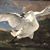 Irene Kasbury's profile image