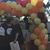 Jennifer M. Legate's profile image
