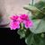 Elizabeth Carlson Wegschaidler's profile image