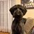 Becky Russell Minton's profile image