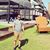 Carlos A. Ruiz's profile image