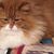 Kate Fuller's profile image