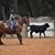 Tracy Monek Roiger's profile image
