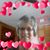 Cindy Mason's profile image