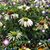 Debra Bouley Groves's profile image