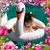 Donna Lopez's profile image