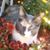Jill Camille Walker Arismende's profile image