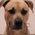 Adar Slepon's profile image