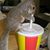 Pirat Pants's profile image