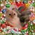 Michelle Akpore's profile image