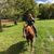 Bobbi Muntean's profile image