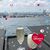 Janet Philbin Hamilton's profile image