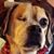 Cheryl Fournier's profile image