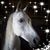 Christyne Knisely's profile image