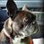 Janet Van Sant's profile image