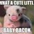 Matt Hodges's profile image