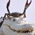 Phillip Moore's profile image