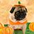 Frank Maston's profile image