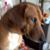 Sandra Sanchez's profile image