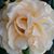 Judy Gatts's profile image