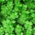 Kathy Casey Lamastro's profile image