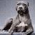 Eugene Tapley's profile image