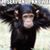 Christina Sam-Birt's profile image