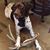 Kim Caron's profile image