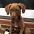 Terri Parton's profile image