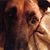 Susan Cunningham's profile image