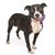 Cheryl Harris's profile image