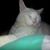 Debbie Fullington's profile image