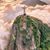 Flavio Burda's profile image