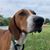 Sheila Smith's profile image