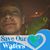 Matthew Alex Broder's profile image