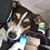Paula Husted's profile image